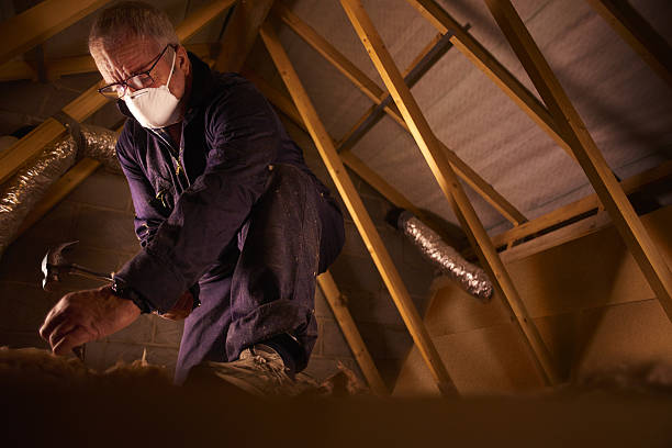 Best Types of Insulation in Lightstreet, PA
