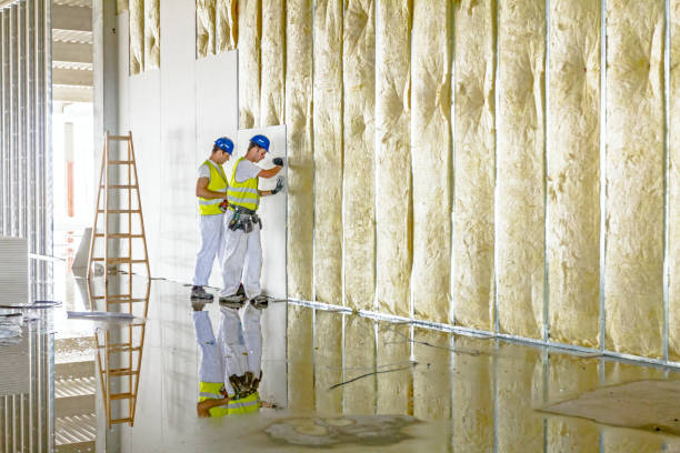 Best Residential Insulation in Lightstreet, PA